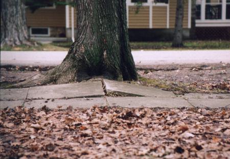 Sidewalks